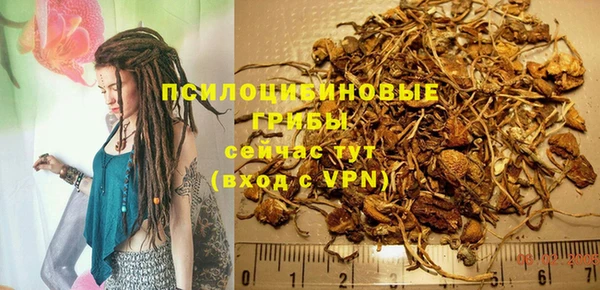 ПСИЛОЦИБИНОВЫЕ ГРИБЫ Семикаракорск