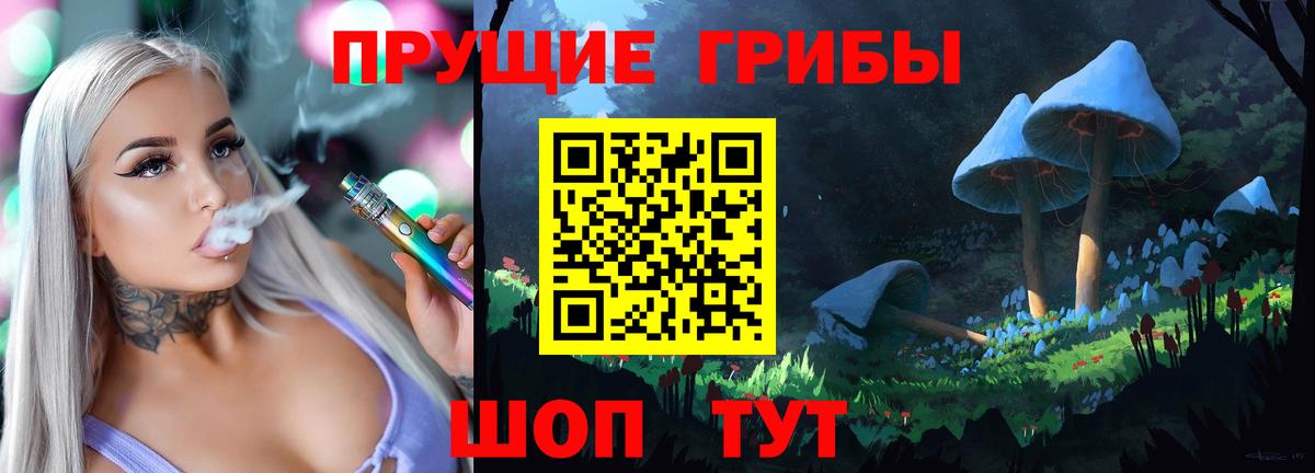 Галлюциногенные грибы прущие грибы  наркота  Заинск  Вход с VPN 